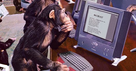 monkey-on-a-computer.jpg