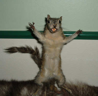 DGreenRabidSquirrel.jpg