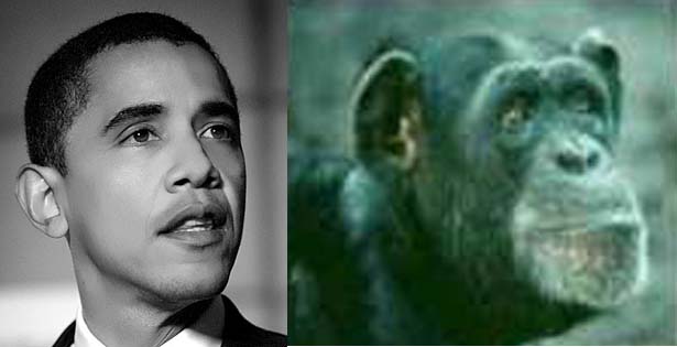 ObamaMonkey.jpg