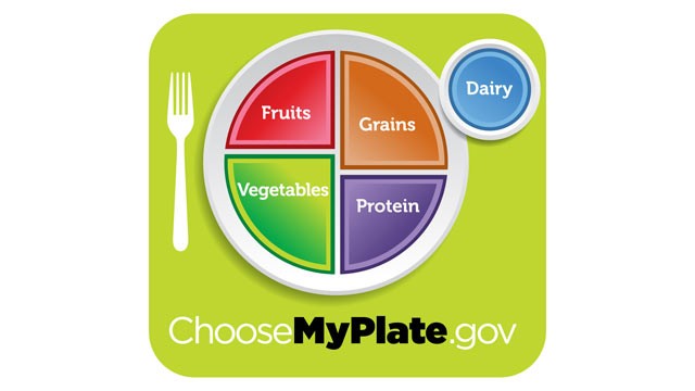 ht_new_food_plate_nt_110602_wg.jpg