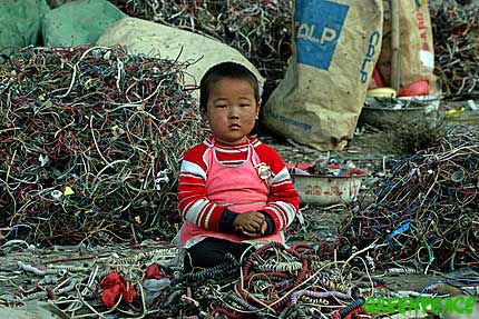 a-chinese-child-sits-amongst-a.jpg