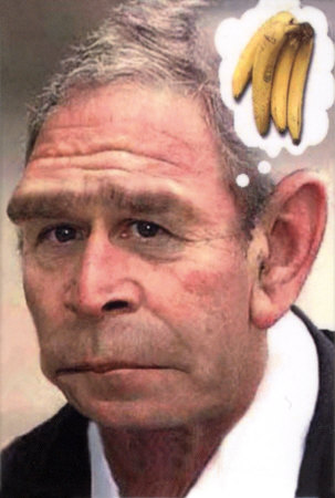 8130george-w-bush-monkey-posters.jpg