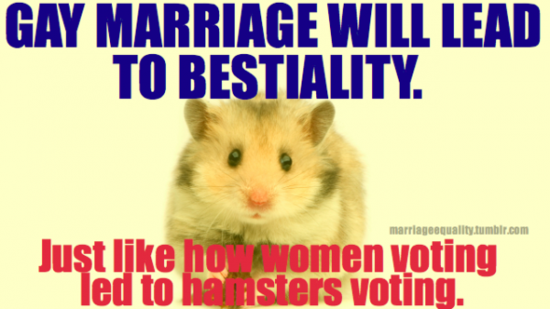 hamstersvoting.png