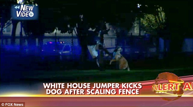 1414023921247_wps_15_White_HOUSe_fence_jumper.jpg