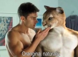 s-ORANGINA-GAY-CAT-AD-large.jpg