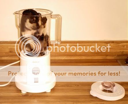 puppyblender.jpg