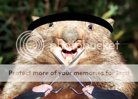 WombatOfDeath.jpg