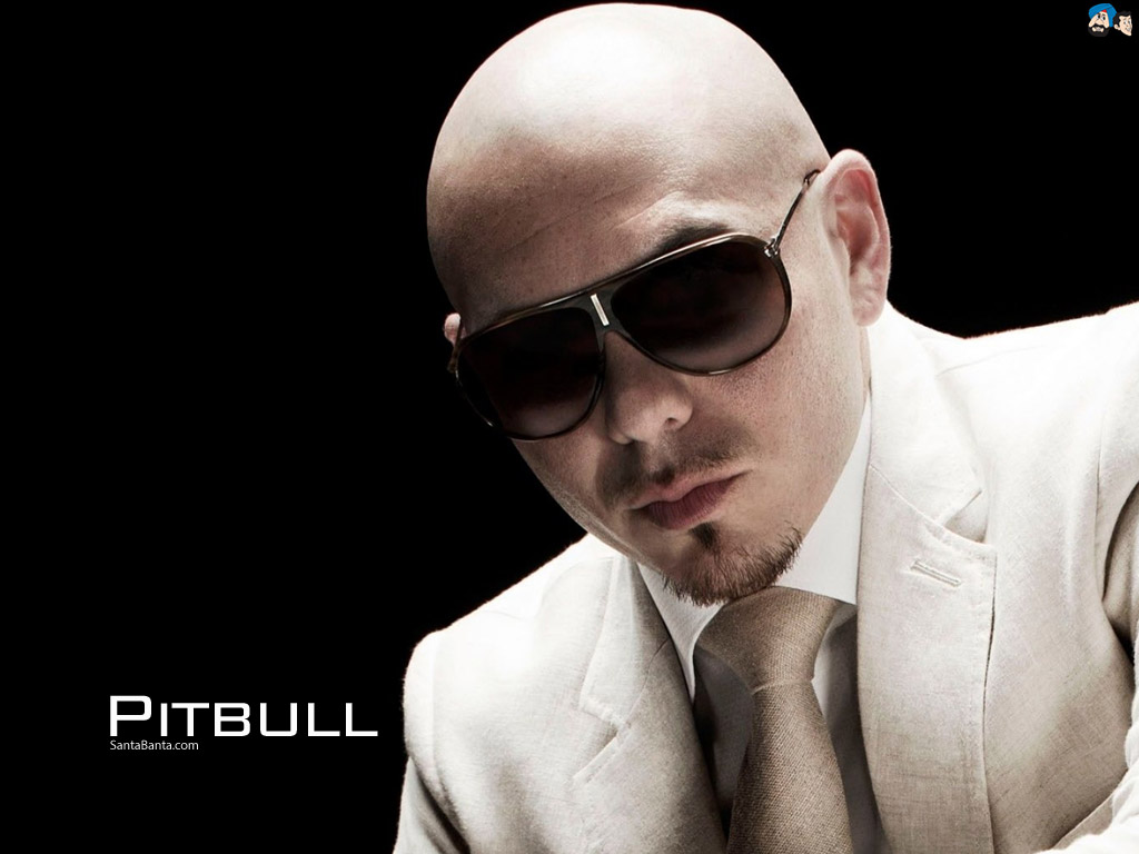 pitbull-5a.jpg