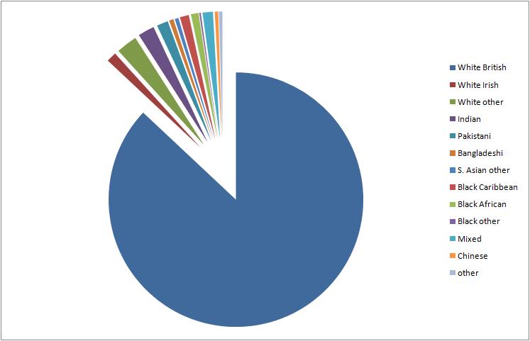 01england_ethnicity.jpg