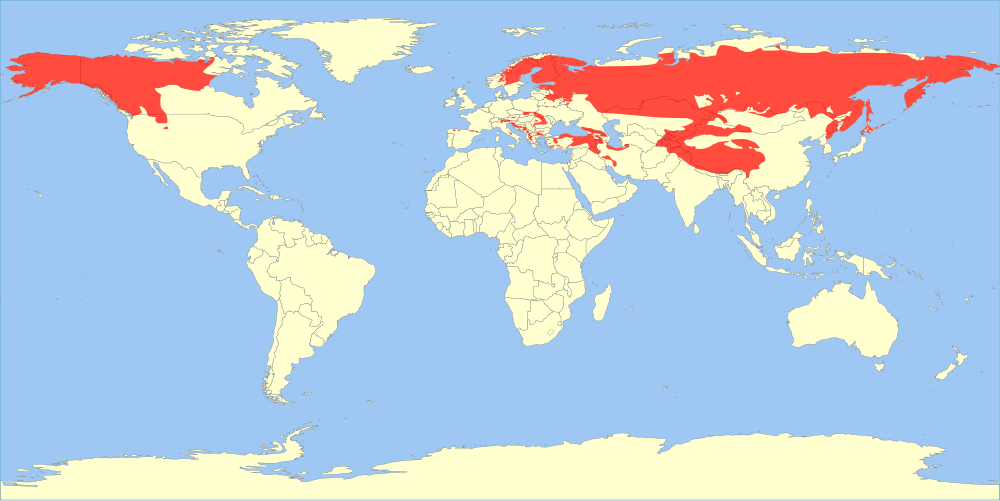 1000px-Ursus_arctos_range_map.svg.png