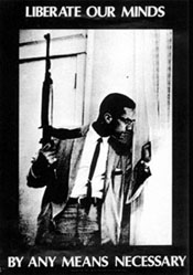 Malcolm_X_any_means_necessary.jpg