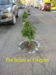 Potholes in Oregon edit.jpg