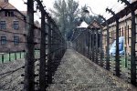 auschwitz_I_fences_col.jpg