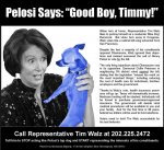 Pelosi%20GoodBoyTimmyAd.jpg