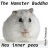 Hamster Buddha