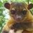 FlappyTheKinkajou