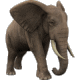 Accountability's Avatar