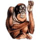 Pancho Angry's Avatar