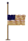 Flag Half
