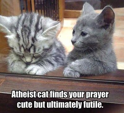 atheist-cat.jpg