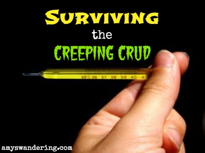 surviving-the-creeping-crud.jpg