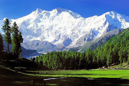 21932_islamabad_fairy_meadows.jpg