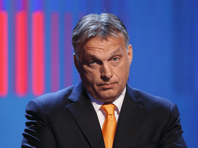 Viktor-Orban-640x480.png