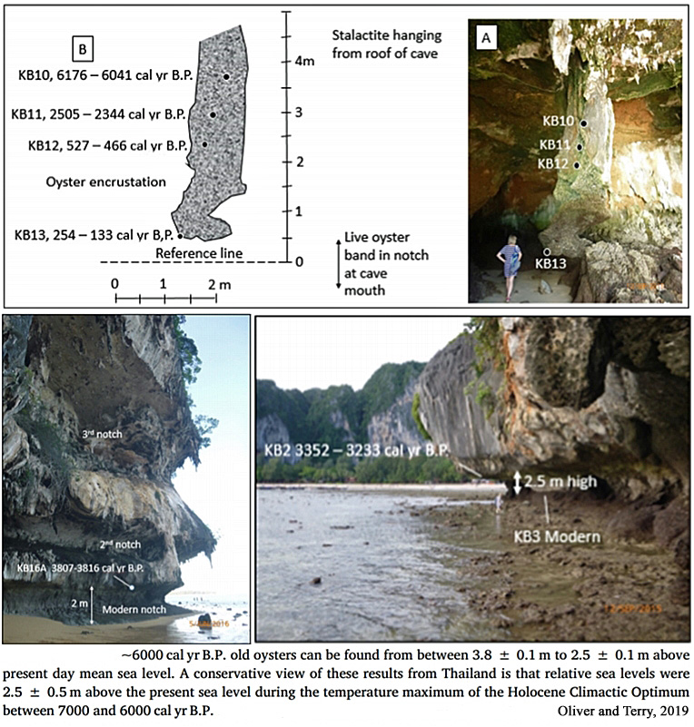 Holocene-Cooling-Sea-Level-Thailand-Oliver-Terry-2019-b.jpg