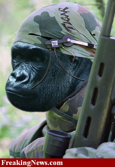 585-gorilla-warfare_w.jpg