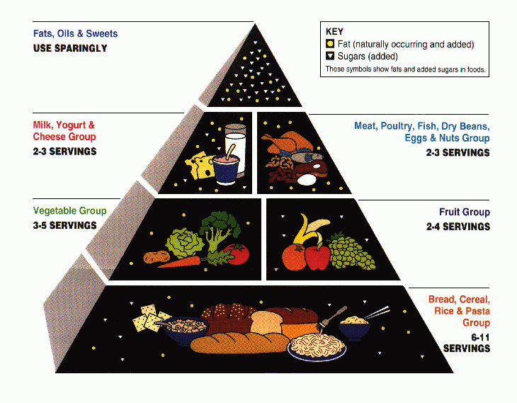 USDA_Food_Pyramid.gif