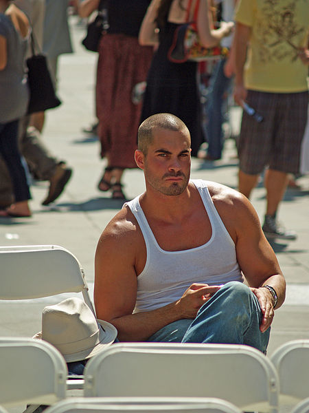 450px-Man_in_A_shirt_at_the_Brooklyn_Book_Festival.jpg