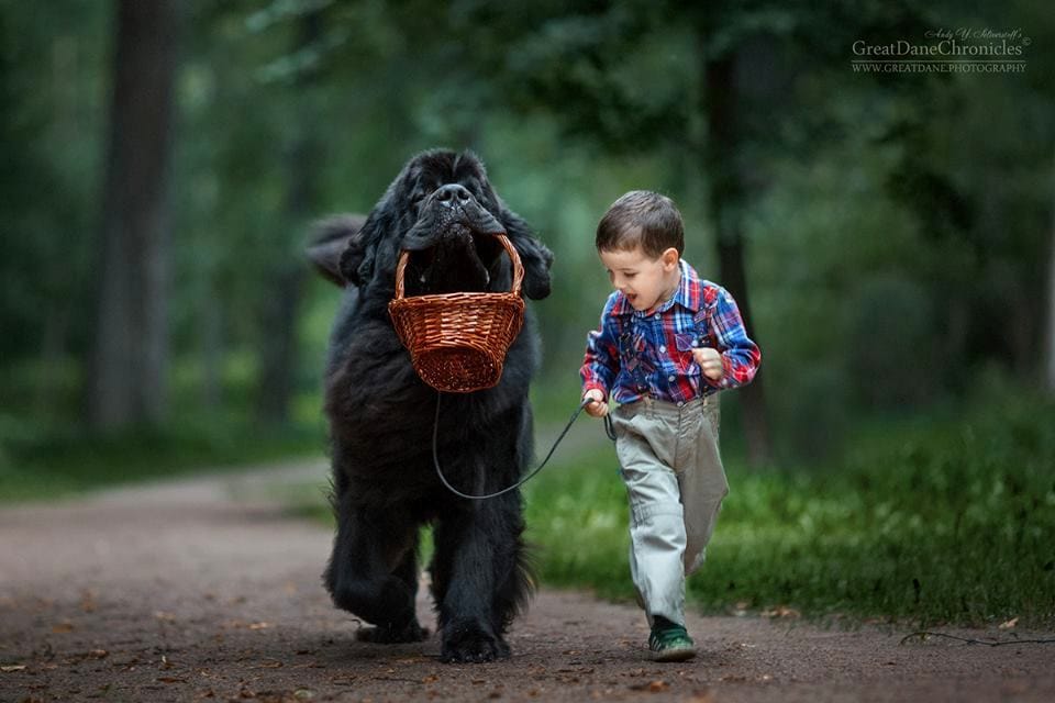 11.25.16-Little-Kids-and-Their-Big-Dogs2.jpg