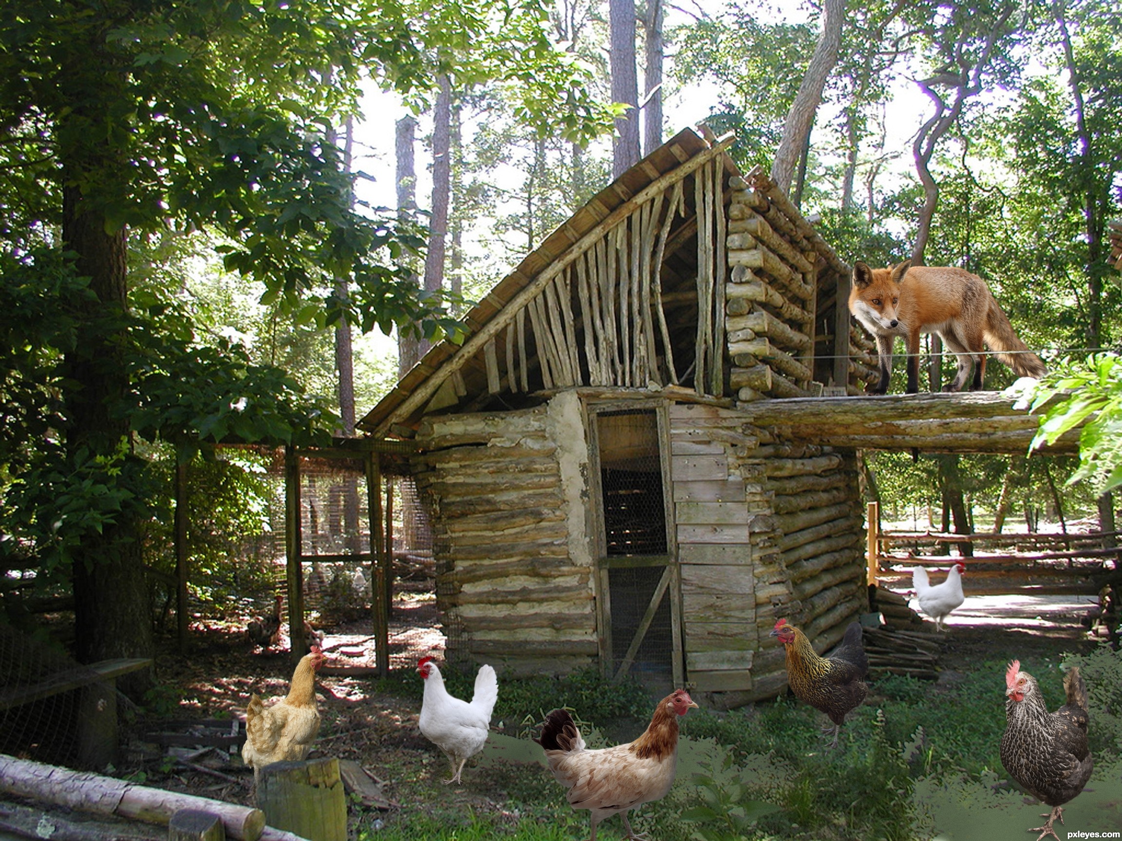 Fox-guarding-the-hen-house-512bf2d4bec97_hires.jpg