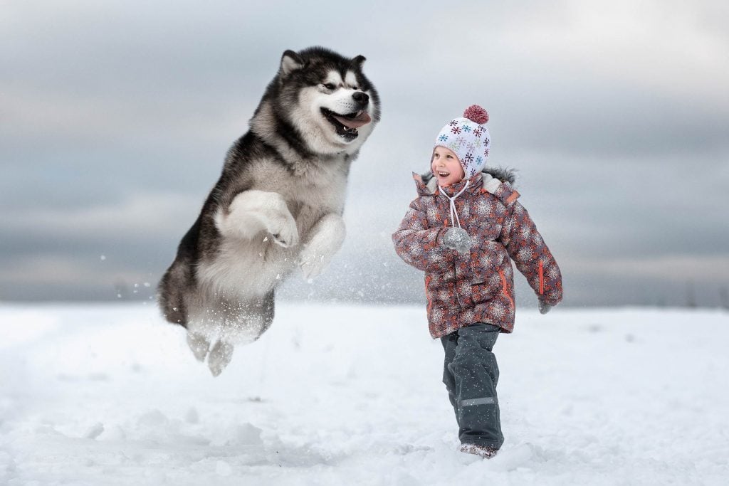 07_Little-Kids-and-Their-Big-Dogs-COVER-HI-RES-1024x683.jpg