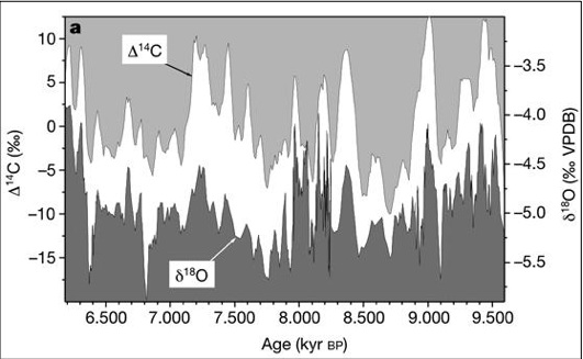 fig5.jpg